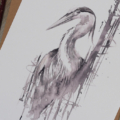 grote reiger in aquarel stijl