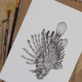 Print van een dotwork koraalduivel