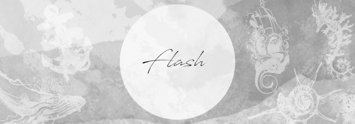 Header webshop flash