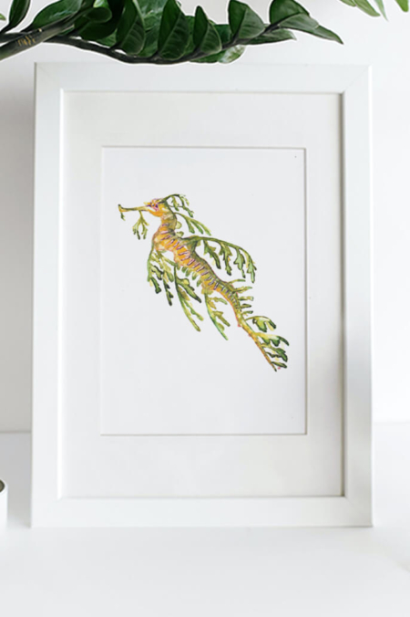 Print van een leafy seadragon in aquarel