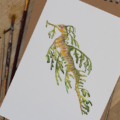 Print van een leafy seadragon in aquarel