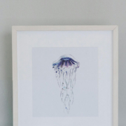 Originele aquarel van een blauwe kwal in door Francine