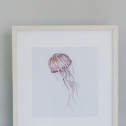 Originele aquarel van een roze kwal in door Francine