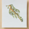 Originele aquarel van een leafy seadragon in paars/groen door Francine