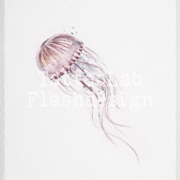 Watercolour stijl tattoo ontwerp van een kwal in kleur, handgemaakt door Francine