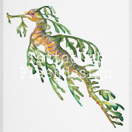 Leafy seadragon tattoo ontwerp in kleur door Francine