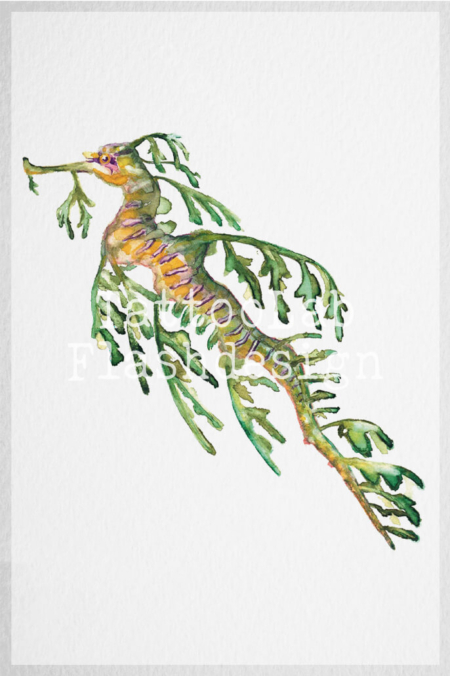 Leafy seadragon tattoo ontwerp in kleur door Francine