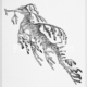Leafy seadragon tattoo ontwerp door Francine