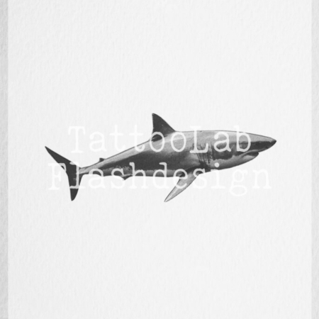 Tattoo ontwerp van een witte haai