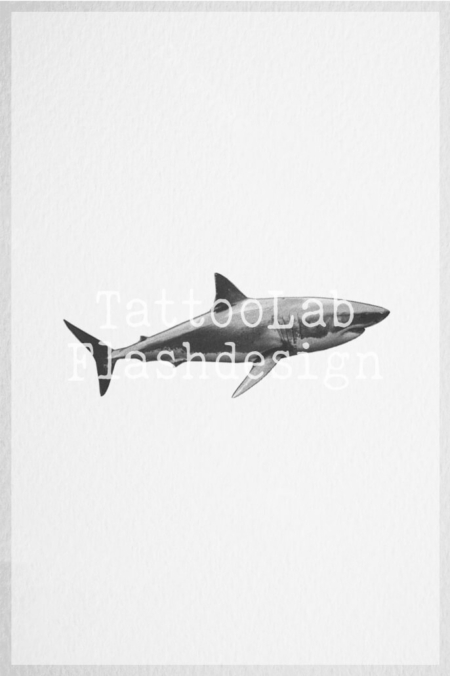 Tattoo ontwerp van een witte haai