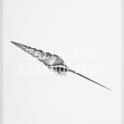 Tattoo flash van een schelp in illustratieve stijl