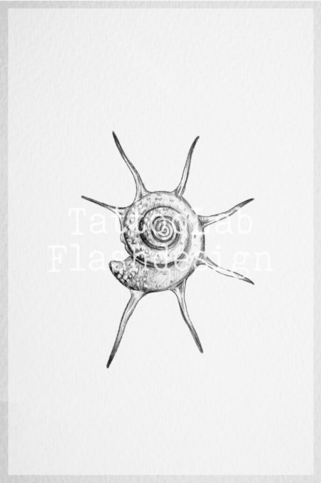 Tattoo flash van een schelp in illustratieve stijl