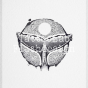 Tattoo ontwerp van een walvisstaart met dotwork en brushstroke