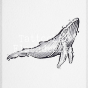 Tattoo ontwerp van een walvis in handgemaakte brushstroke stijl