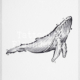 Tattoo ontwerp van een walvis in handgemaakte brushstroke stijl
