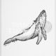 Tattoo ontwerp van een walvis in handgemaakte brushstroke stijl