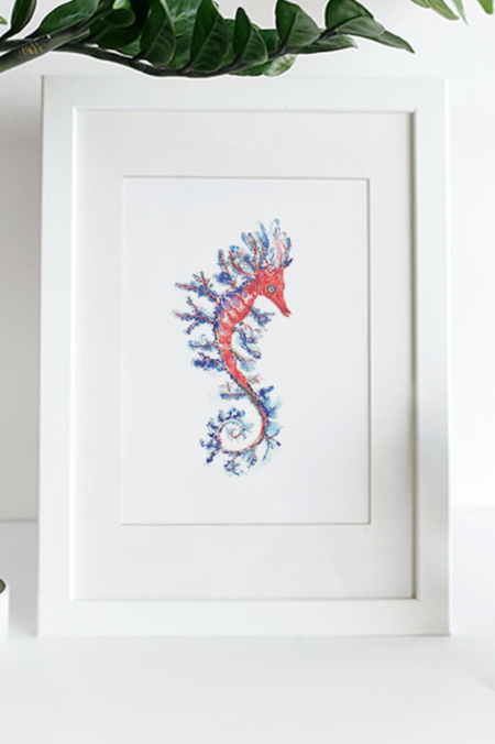 Aquarel van een rood zeepaard