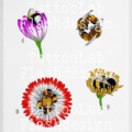Full color tattoo ontwerpen van verschillende bloemen met een bij