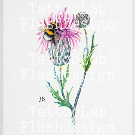 Grote tattoo design van een bij met distel in watercolour stijl in kleur