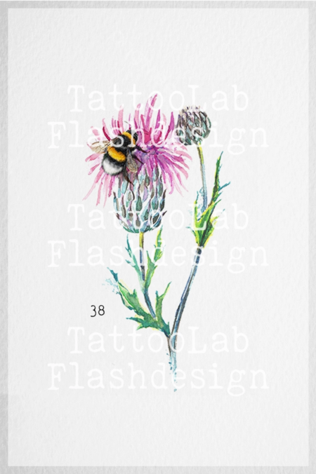 Grote tattoo design van een bij met distel in watercolour stijl in kleur