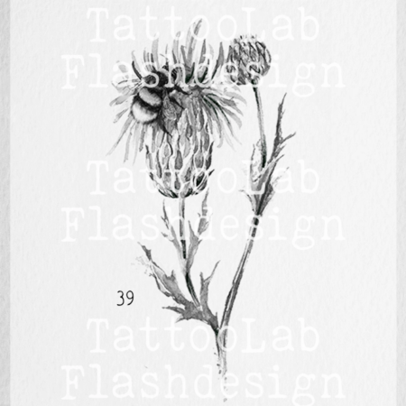 Grote tattoo design van een bij met distel in watercolour stijl