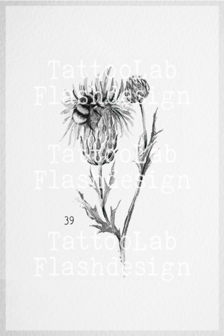 Grote tattoo design van een bij met distel in watercolour stijl