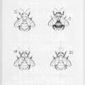 Symmetrische bijentattoo met ornamental elementen