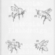 Tattoo ontwerp van een bij in minimalistische stijl